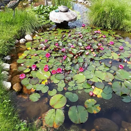 Haus Dengg Mauterndorf (Salzburg)