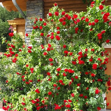 Haus Dengg Mauterndorf (Salzburg)